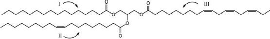 What is the condensed chemical formula for fatty acid component I of the triglyceride shown?   A) CH<sub>3</sub>(CH<sub>2</sub>) <sub>18</sub>COOH B) CH<sub>3</sub>(CH<sub>2</sub>) <sub>17</sub>COOH C) CH<sub>3</sub>(CH<sub>2</sub>) <sub>16</sub>COOH D) CH<sub>3</sub>(CH<sub>2</sub>) <sub>15</sub>COOH E) CH<sub>3</sub>(CH<sub>2</sub>) <sub>14</sub>COOH