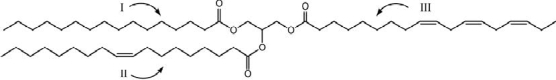 What is the condensed chemical formula for fatty acid component II of the triglyceride shown?   A) CH<sub>3</sub>(CH<sub>2</sub>) <sub>18</sub>COOH B)   C) CH<sub>3</sub>(CH<sub>2</sub>) <sub>16</sub>COOH D)   E) CH(CH<sub>2</sub>) <sub>16</sub>COOH