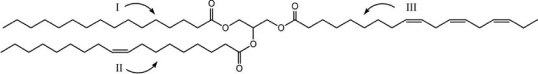 What is the name of fatty acid component I in the triglyceride shown?   A) palmitic (hexadecanoic)  acid B) stearic (octadecanoic)  acid C) lauric (dodecanoic)  acid D) myristic (tetradecanoic)  acid E) capric (decanoic)  acid