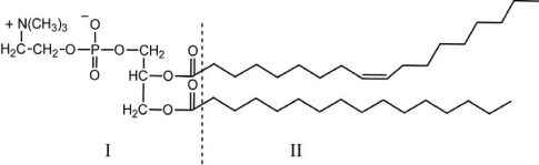 Which of the following statements regarding phospholipids is NOT correct? An example molecule is shown.   A) Phospholipids can contain up to three fatty acids, as long as the phosphate group is somewhere in the molecule. B) Region I is a polar head group that interacts favorably with water. C) Region II is a hydrophobic tail region that interacts favorably with tail groups on other phospholipids. D) When phospholipids are in an aqueous medium, they typically form bilayers. E) Phospholipids are a primary component of cell walls, isolating the contents of the cell from the outside environment.