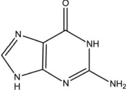 This molecule is   A) adenine. B) thymine. C) cytosine. D) guanine. E) uracil.