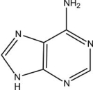 This molecule is A) adenine. B) guanine. C) cytosine. D) thymine. E) uracil.