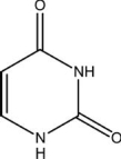 This molecule is A) adenine. B) guanine. C) cytosine. D) thymine. E) uracil.