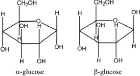  Draw a disaccharide that is representative of the structure of cellulose.The structures of   \alpha  - and   \beta  -glucose are given.     