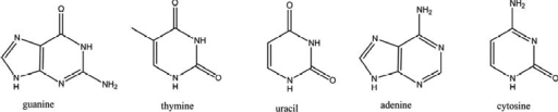 Show how the bases pair in DNA.Use dashed lines to indicate intermolecular forces between atoms in each pair of bases.  