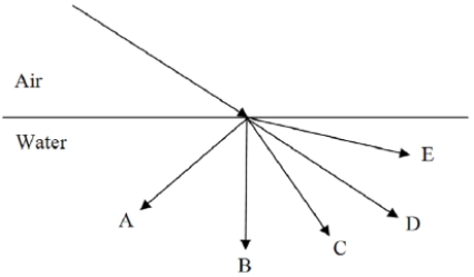 A ray of light moves from air into water. Which path most accurately shows the refraction?   A)  A B)  B C)  C D)  D E)  E
