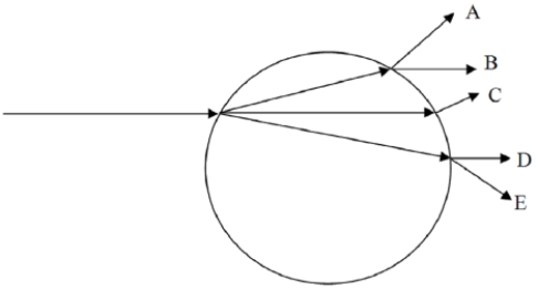 <strong>A ray of light traveling through water passes through an air bubble. Which path does it take? </strong> A) A B) B C) C D) D E) E