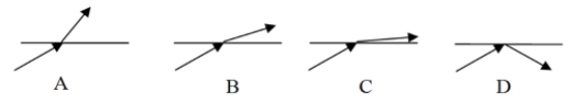 Rays of light traveling through different media hit the boundary between the media and the air. The angle of incidence is the same in each case. Which medium has the largest index of refraction?   A)  A B)  B C)  C D)  D