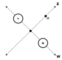 <strong>Consider the field lines of the electric dipole in this diagram, relative to the w-axis and the z-axis.   In which direction does the electric field point where the two axes intersect?</strong> A) 45 \degree  up and to the right, parallel to the z-axis:   B) 45 \degree  down and to the right, parallel to the w-axis:   C) 45 \degree  down and to the left, parallel to the z-axis:   D) 45 \degree  up and to the left, parallel to the w-axis:     <div style=padding-top: 35px>  