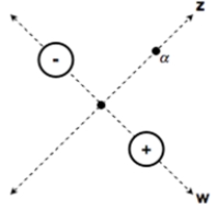  <strong>Consider the field lines of the electric dipole in this diagram, relative to the w-axis and the z-axis.   In which direction does the electric field point where the two axes intersect?</strong> A) 45 \degree  up and to the right, parallel to the z-axis:   B) 45 \degree  down and to the right, parallel to the w-axis:   C) 45 \degree  down and to the left, parallel to the z-axis:   D) 45 \degree  up and to the left, parallel to the w-axis:     <div style=padding-top: 35px>  