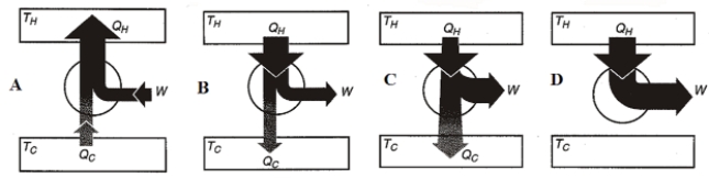Shown below are 4 figures that represent the heat flow in a heat engine. The thickness of the arrows represents the amount of heat flow. T<sub>H</sub> is the high-temperature reservoir, T<sub>C</sub> is the low-temperature reservoir, Q<sub>H</sub> is heat to/from T<sub>H</sub>, Q<sub>C</sub> is heat to/from T<sub>C</sub>, and W is work. Which figure best represents a real heat engine?   A)  A B)  B C)  C D)  D
