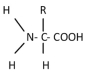 This would be the general representation of   A) an amino acid. B) a fatty acid. C) a nucleic acid. D) glycerol.