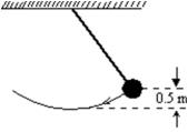 The long pendulum shown is drawn aside until the ball has risen 0.5 m.It is then given an initial speed of 3.0 m/s.The speed of the ball at its lowest position is:   A) 0 m/s B) 0.89 m/s C) 3.1 m/s D) 3.7 m/s E) 4.3 m/s