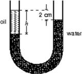 The density of water is 1.0 g/cm<sup>3</sup>.If h = 20 cm, the density of the oil in the left column of the U-tube shown below is:   A) 0.20 g/cm<sup>3</sup> B) 0.90 g/cm<sup>3</sup> C) 1.0 g/cm<sup>3</sup> D) 1.3 g/cm<sup>3</sup> E) 5.0 g/cm<sup>3</sup>