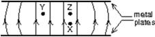The diagram shows the electric field lines due to two charged parallel metal plates.We conclude that:   A) the upper plate is positive and the lower plate is negative B) a proton at X would experience the same force if it were placed at Y C) a proton at X experiences a greater force than if it were placed at Z D) a proton at X experiences less force than if it were placed at Z E) an electron at X could have its weight balanced by the electrical force