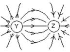 The diagram shows the electric field lines in a region of space containing two small charged spheres (Y and Z) .Then:   A) Y is negative and Z is positive B) the magnitude of the electric filed is the same everywhere C) the electric field is strongest midway between Y and Z D) Y is positive and Z is negative E) Y and Z must have the same sign