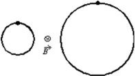 An electron and a proton both each travel with equal speeds around circular orbits in the same uniform magnetic field, as shown in the diagram (not to scale) .The field is into the page on the diagram.Because the electron is less massive than the proton and because the electron is negatively charged and the proton is positively charged:   A) the electron travels clockwise around the smaller circle and the proton travels counterclockwise around the larger circle. B) the electron travels counterclockwise around the smaller circle and the proton travels clockwise around the larger circle C) the electron travels clockwise around the larger circle and the proton travels counterclockwise around the smaller circle D) the electron travels counterclockwise around the larger circle and the proton travels clockwise around the smaller circle E) the electron travels counterclockwise around the smaller circle and the proton travels counterclockwise around the larger circle