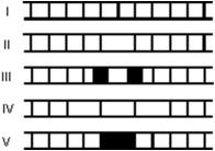 Monochromatic plane waves of light are incident normally on a single slit.Which one of the five figures below most correctly shows the diffraction pattern observed on a distant screen?   A) I B) II C) III D) IV E) V