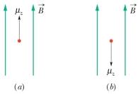 The figure shows two different orientations of a proton in a magnetic field.Which orientation is at higher energy?   A) a B) b C) Both are at the same energy, and there is no other orientation at higher energy. D) Both are at the same energy, but if the spin vector were perpendicular to the magnetic field the energy would be higher. E) Both are at the same energy, but if the spin vector were perpendicular to the magnetic field the energy would be lower.