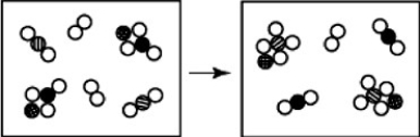   -How many diatomic molecules are represented in the illustration above? A) 1 B) 2 C) 3 D) 4