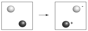  -In the above diagram,which atom is oxidized,the darker colored atom or the lighter colored atom? A) Both of the atoms are oxidized. B) Neither of the atoms is oxidized. C) Only the darker colored atom is oxidized. D) Only the lighter colored atom is oxidized.