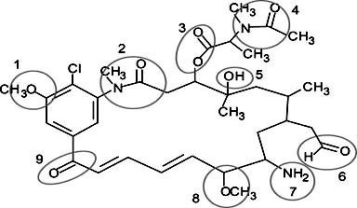Correctly identify the following functional groups in this organic molecule-amide,ester,ketone,ether,alcohol,aldehyde,amine.   A) 1 = ether,3 = ester,6 = aldehyde,9 = alcohol B) 2 = amide,4 = ester,7 = amine,8 = ether C) 1 = ester,5 = alcohol,8 = ether,9 = ketone D) 2 = amide,6 = aldehyde,7 = amine,8 = ether
