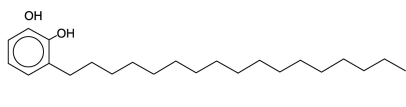 One of the skin-irritating components of poison oak is tetrahydrourushiol:   The long,nonpolar hydrocarbon tail embeds itself in a person's oily skin,where the molecule initiates an allergic response.Scratching the itch spreads tetrahydrourushiol molecules over a greater surface area,causing the zone of irritation to grow.Is this compound an alcohol or a phenol? A) an alcohol because of the hydroxyl groups it contains B) both a phenol and an alcohol because of the hydroxyl groups it contains C) a phenol because of the hydroxyl groups attached to the benzene ring D) neither an alcohol or phenol because it contains two hydroxyl groups instead of one