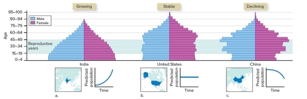   Source: Data from U.S. Census Bureau, International Data Base -Based upon the age structure diagram,you expect the Indian population to A)  grow because all of the age classes have roughly equal proportions of people. B)  grow then shrink because many of the people will be entering the postreproductive years. C)  grow because a large proportion of the population will be entering the reproductive years. D)  grow then decline because a lower proportion of individuals are in prereproductive age classes. E)  No answer is correct.