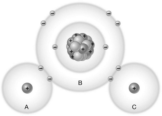 If iodide ions (I⁻) were dissolved in water,they would be attracted to   A)  A only. B)  B only. C)  C only. D)  A and C.