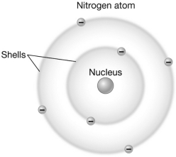 Nitrogen has an atomic number of 7 and an atomic mass number of 14.Using the image provided below,diagram the location and number of protons,neutrons,and electrons in nitrogen.   