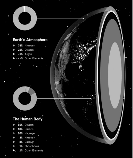 Using the figure below,contrast the abundance of nitrogen,oxygen,and carbon in Earth's atmosphere and the human body.Address the reason for the difference in the abundance of carbon.   