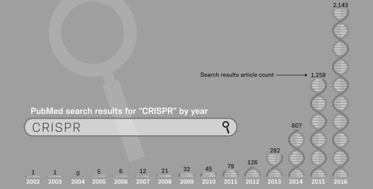 According to the infographic below,the number of references to CRISPR in the PubMed database ________ between 2014 and 2016.   A)  quadrupled B)  more than tripled C)  doubled D)  more than quadrupled