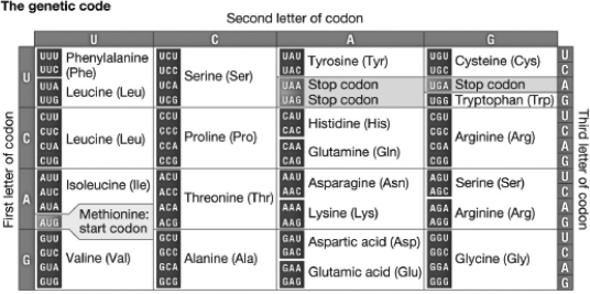 A tRNA with the anticodon GGG would have the amino acid ________ bound to it.   