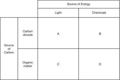 Prokaryotes described as chemoautotrophs are represented by the category labeled ________ in the figure below.   A)  A B)  B C)  C D)  D