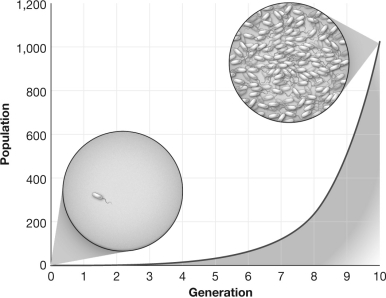 Explain why the growth curve shown in the figure below changes from a relatively flat line to a steeper upward line as the generation number increases.   