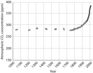 Atmospheric carbon dioxide levels are shown below.This graph was developed by measurements that were obtained in which of the following two ways?   A)  direct measurements on Mauna Loa, Hawaii, and from air bubbles trapped in ice. B)  studies of plant structures in response to differing CO₂ levels and measurements of carbon dioxide within rock layers. C)  carbon isotope levels in seafloor sediments and from air bubbles trapped in ice. D)  measurements from undisturbed bat droppings in caves on a South Pacific island and carbon isotope levels in sea floor sediments.