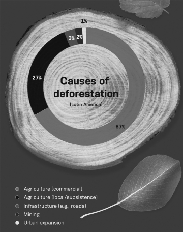 According to the infographic below,which of the following activities would MOST reduce deforestation?   A)  expanding public transportation B)  finding alternative ways to provide for global food demands C)  limiting the amount of mining activity in Latin America D)  finding alternative ways to provide food for subsistence farmers