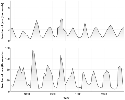 When comparing the peaks on both of the graphs below the lynx population reaches its maximum   A)  slightly after the hare population reaches its maximum. B)  slightly before the hare population reaches its maximum. C)  at the same time that the hare population reaches its maximum. D)  at random intervals that do not appear linked to hare populations.