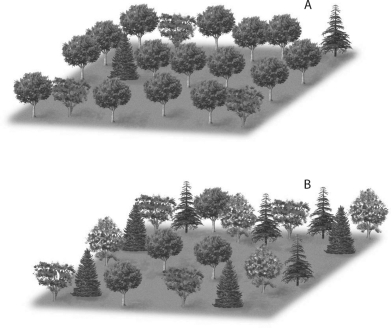 In comparing the two communities shown below,community   A)  A has a higher relative species abundance. B)  B has a higher relative species abundance. C)  A has more primary producers than community B. D)  B has more primary producers than community A.