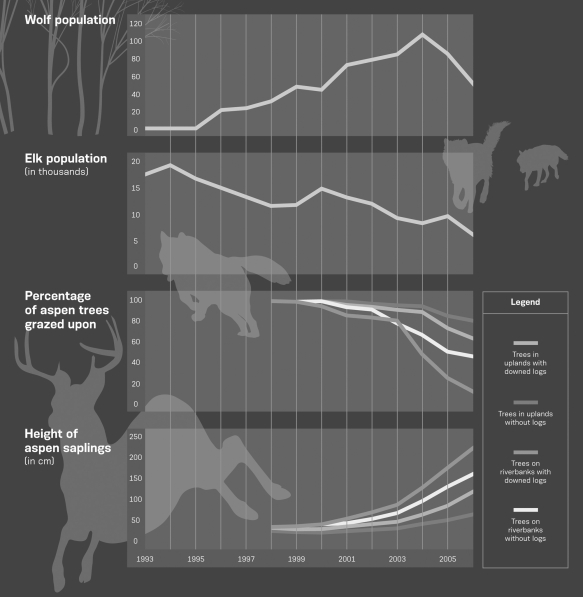 The information presented in the figure below strongly suggests that the ________ is a keystone species in Yellowstone National Park.   