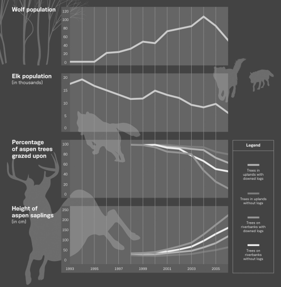 Using the data in the infographic below,illustrate how removal of a keystone species such as the wolves from Yellowstone can lead to secondary succession and eventually restoration of a climax community.   