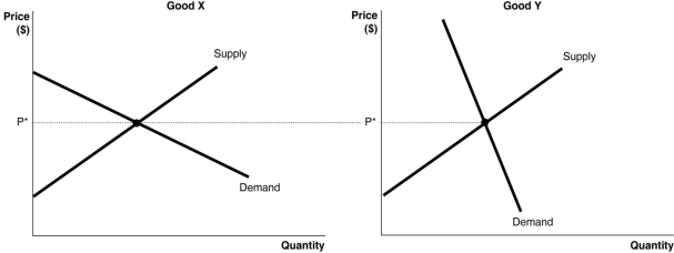 Figure 5.10   -Refer to Figure 5.10.The figure above illustrates the markets for two goods,Good X and Good Y.Suppose an identical dollar tax is imposed in each market. a.Compare the consumer burden and producer burden in each market.Illustrate your answer graphically. b.If the goal of the government is to raise revenue with minimum impact to quantity consumed,in which market should the tax be imposed? c.If the goal of the government is to discourage consumption,in which market should the tax be imposed? __________________________________________________________________________________________________________________________________________________________________________________________