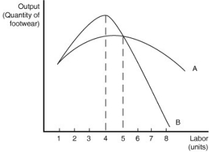 Figure 6.3   Fancy Footwear manufactures shoes. Figure 6.3 shows Fancy Footwear's marginal product of labour and average product of labour curves in the short run. -Refer to Figure 6.3.Which of the following statements correctly describes the curves in the figure? A)  The marginal product of labour curve is represented by curve A and the average product of labour curve is represented by curve B. B)  The marginal product of labour curve is represented by curve B and the average product of labour curve is represented by curve A. C)  Curve A could represent either the average product curve or the marginal product curve. Curve B represents the total product curve. D)  Curve B could represent either the average product curve or the marginal product curve. Curve A represents the total product curve.