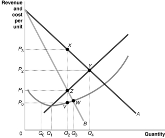 Figure 8.8   Figure 8.8 reflects the cost and revenue structure for a monopoly that has been in business for a very long time. -Refer to Figure 8.8.Use the figure above to answer the following questions. a.Identify the curves labelled A and B.Identify the curve which contains both point Y and point Z.Identify the curve which contains both point V and point W. b.What is the profit-maximising quantity and what price will the monopolist charge? c.What area represents total revenue at the profit-maximising output level? d.What area represents total cost at the profit-maximising output level? e.What area represents profit? f.What is the profit per unit (average profit)at the profit-maximising output level? g.If this industry was organised as a perfectly competitive industry,what would be the profit-maximising price and quantity? h.What area represents the deadweight loss as a result of a monopoly? __________________________________________________________________________________________________________________________________________________________________________________________