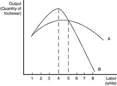 Figure 8-3    Fancy Footwear manufactures shoes. Figure 8-3 shows Fancy Footwear's marginal product of labor and average product of labor curves in the short run. -Refer to Figure 8-3.Which of the following statements correctly describes the curves in the figure? A)  The marginal product of labor curve is represented by curve A and the average product of labor curve is represented by curve B. B)  The marginal product of labor curve is represented by curve B and the average product of labor curve is represented by curve A. C)  Curve A could represent either the average product curve or the marginal product curve. Curve B represents the total product curve. D)  Curve B could represent either the average product curve or the marginal product curve. Curve A represents the total product curve.