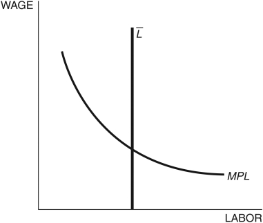 <strong>Figure 4.4: Labor Market In Figure 4.4, MPL represents the labor ________, represents the labor ________, and the intersection of the two yields the ________.</strong> A) supply; demand; equilibrium wage B) demand; supply; equilibrium wage C) supply; demand; equilibrium rental rate of capital D) demand; supply; amount of capital hired E) None of these answers is correct.