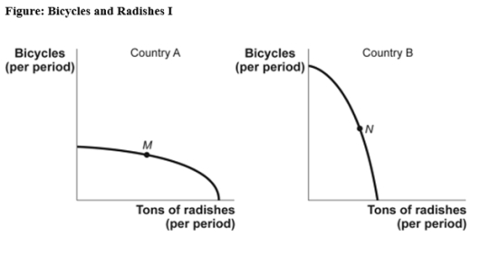 Use the following to answer question:   -(Figure: Bicycles and Radishes I) Use Figure: Bicycles and Radishes I.The figure shows production possibility frontiers for two countries that produce only radishes and bicycles.The axes of the two graphs are measured in equivalent units.Country A is operating at point M,and country B is operating at point N.Suppose country A discovers a new technology that greatly increases its ability to produce bicycles but has no effect on its ability to produce radishes.This would: A) lower the opportunity cost of producing radishes in country A. B) increase the opportunity cost of producing radishes in country A. C) not affect the opportunity cost of producing radishes in country A. D) increase the opportunity cost of producing radishes in country B.