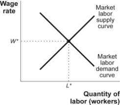 Use the following to answer question: Figure: Equilibrium in the Labor Market   -(Figure: Equilibrium in the Labor Market) Use Figure: Equilibrium in the Labor Market.In the figure,a decrease in the price of the good produced,when everything else stays the same,will lead to a(n) _____ in the equilibrium quantity of labor and a(n) _____ in the equilibrium price of labor. A) increase;increase B) decrease;increase C) increase;decrease D) decrease;decrease
