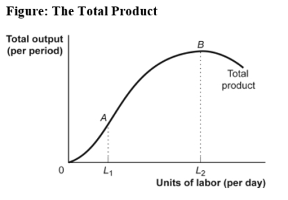 Use the following to answer question:   -(Figure: The Total Product) Use Figure: The Total Product.After hiring L<sub>2</sub> labor and producing at point B on the total product curve,hiring more labor beyond L<sub>2</sub> would cause the: A) marginal product of labor to rise. B) marginal product of labor to be negative. C) total product to be negative. D) total product to be zero.