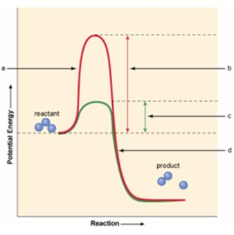 Which of the areas shown in the figure below indicates the presence of an enzyme in the movement of reactant over to product?   A)  a B)  b C)  c D)  d E)  Both a & d